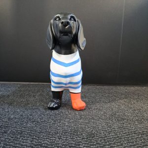 Doggy Marin